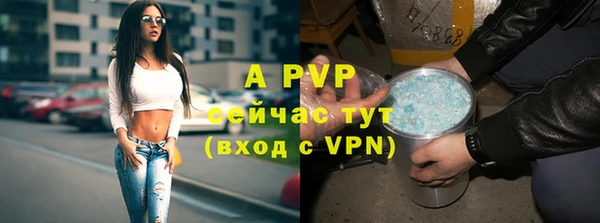 дмт Нея
