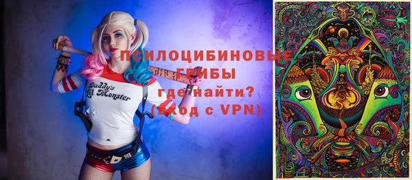 дмт Нея