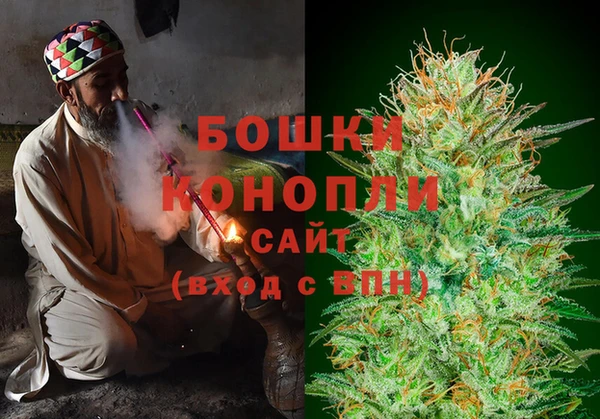 дмт Нея