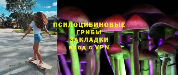 дмт Нея