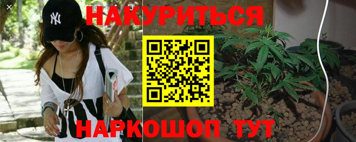 Бошки марихуана OG Kush  Шишки марихуана SATIVA & INDICA  Вход с VPN  Кисловодск  Конопля конопля 